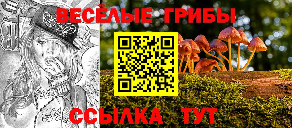 Галлюциногенные грибы GOLDEN TEACHER Стрежевой